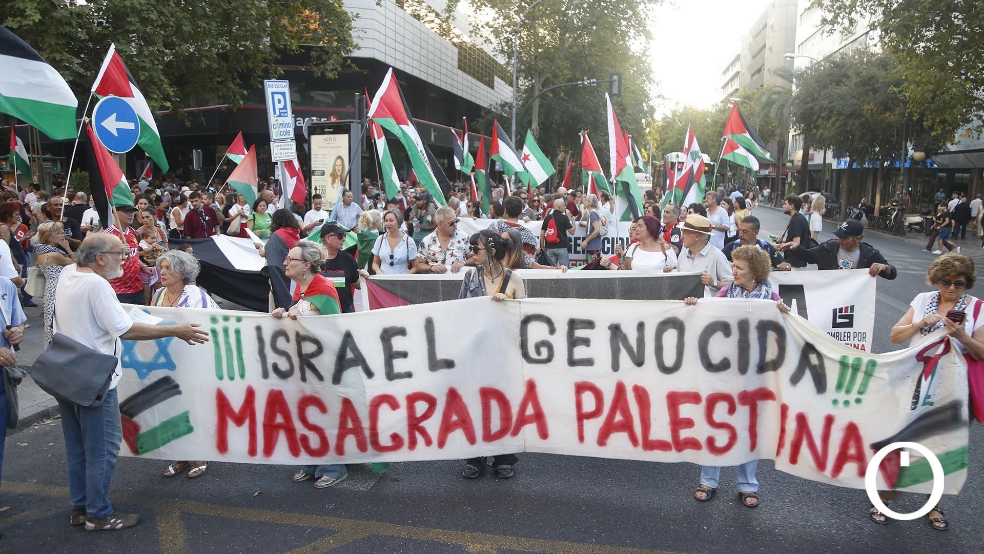 Las imágenes de la masiva manifestación en Córdoba por Palestina