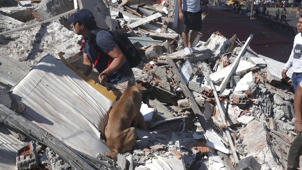 Labores de rescate en Cali (Colombia).