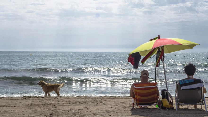 Bañistas en junto a su perro en la playa