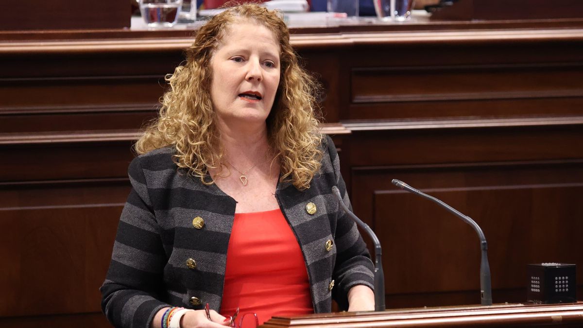 Raquel Díaz, diputada por La Palma del Partido Popular en el Parlamento de Canarias