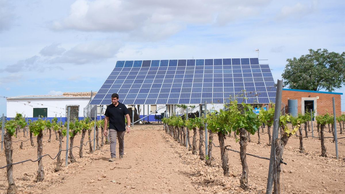 Convocadas las ayudas para jóvenes agricultores y para inversiones en explotaciones en Castilla-La Mancha
