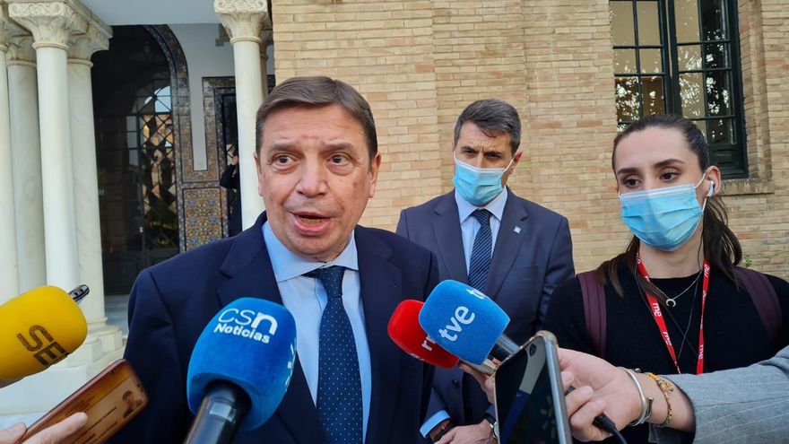 Planas señala un "ligero incremento" del precio de aceite de oliva como consecuencia del mercado del girasol