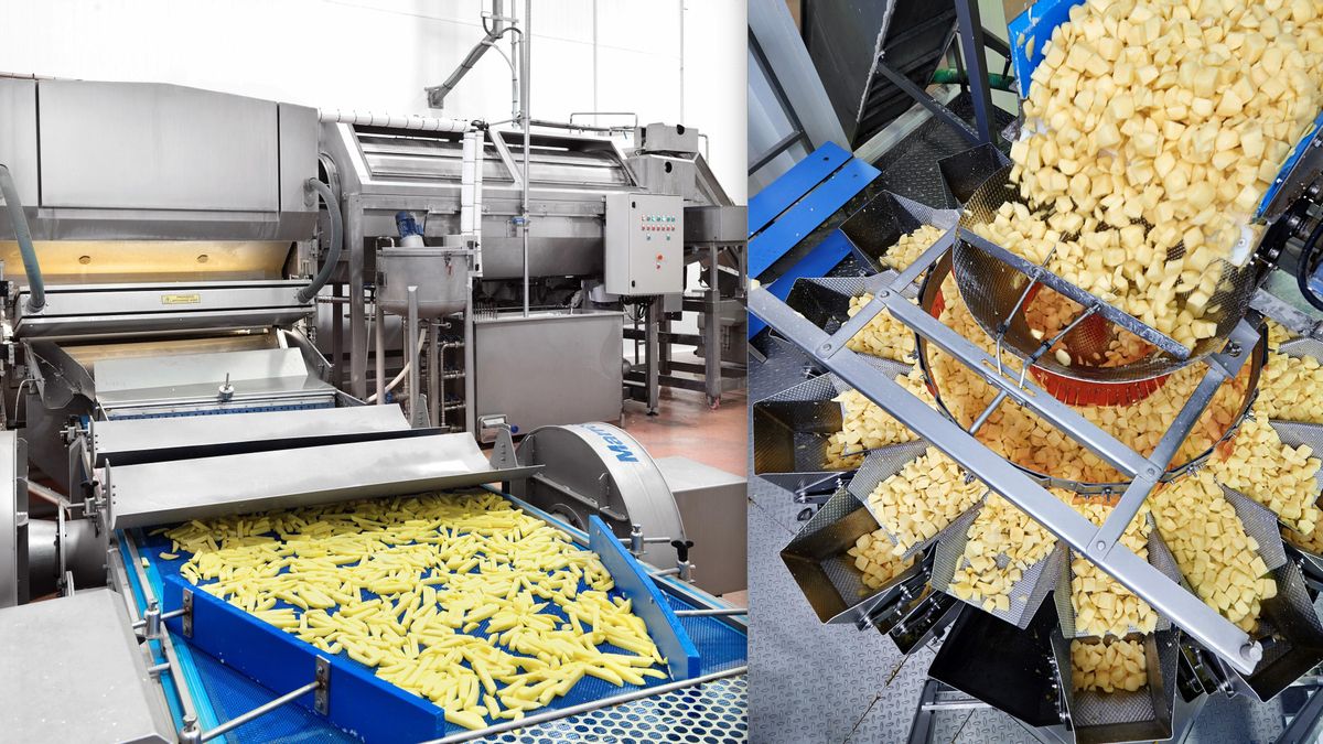 La empresa leonesa Somos Hijolusa rebasa los 260 millones de ventas y los 1.100 empleos directos