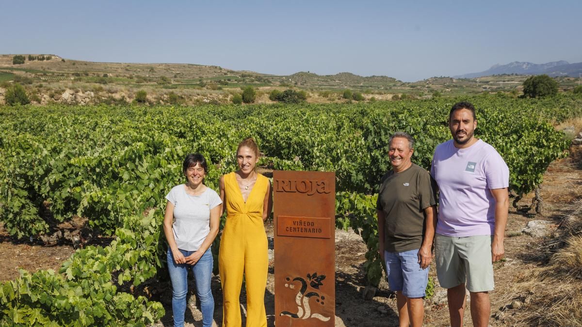Los Viñedos Viejos y Centenarios que guardan siglos de historia y hacen única a DOCa Rioja