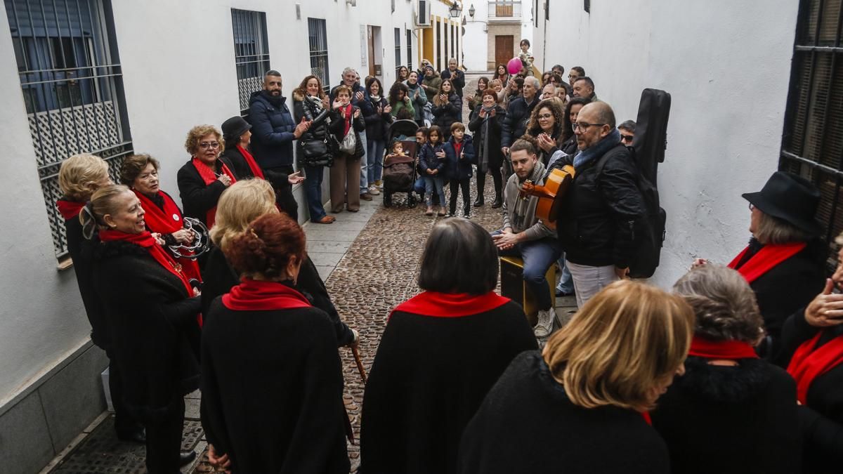 Patios en Navidad 2025