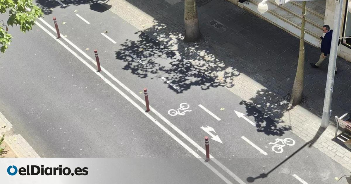 El Ayuntamiento de Santa Cruz de Tenerife desmantelará el carril bici tras un nuevo varapalo judicial