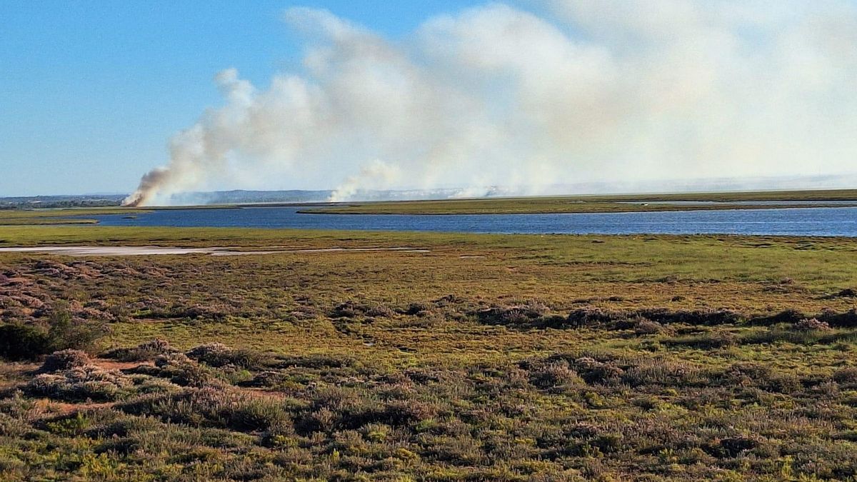 Una de las columnas de humo provocadas por el fuego.