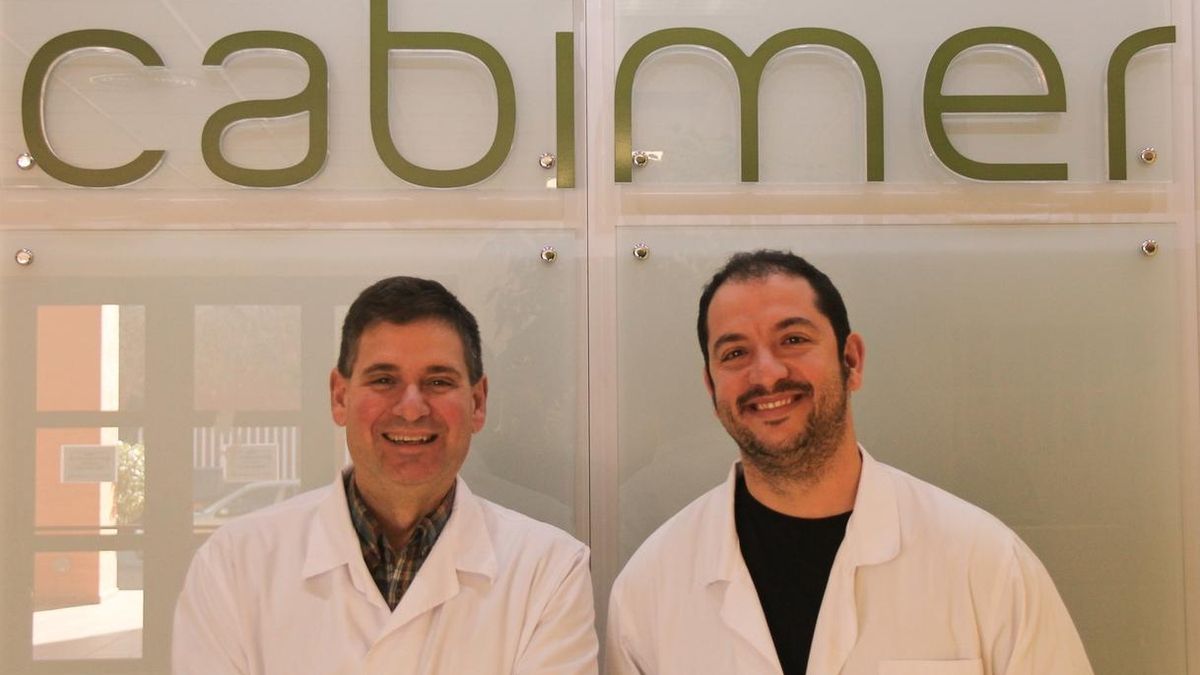 Investigadores andaluces identifican el primer gen implicado en la diabetes gestacional