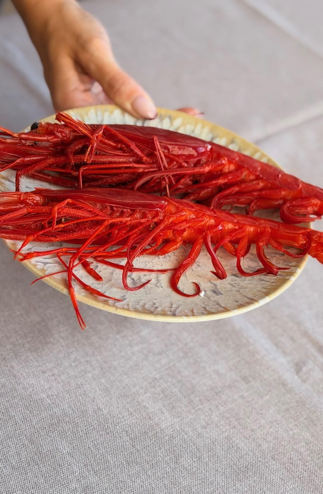 Carabineros de La Santa.