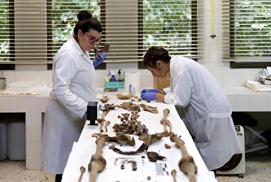 Análisis de los restos de la fosa de Ponferrada analizados por la doctora Laura González-Garrido.