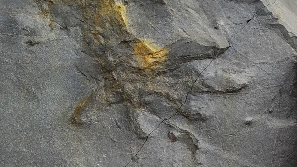 Huella de anfibio en el cielo abierto de la Gran Corta de Fabero.