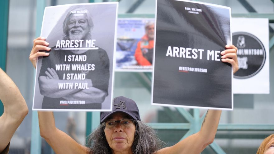 Ballenas, una autopista y un bote de sopa: la mano dura se aprieta sobre los activistas ambientales