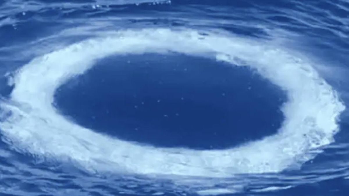 Los científicos del proyecto WhaleSETI buscan patrones comparables a señales inteligentes y ven en estos anillos un posible sistema de comunicación no sonoro entre ballenas y humanos