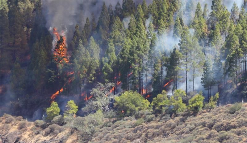Vista del incendio declarado este sábado en la zona de Artenara en el oeste de la isla de Gran Canaria. EFE/Elvira Urquijo A.