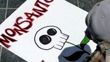Monsanto siguió vendiendo químicos prohibidos aunque sabía que eran perjudiciales para la salud