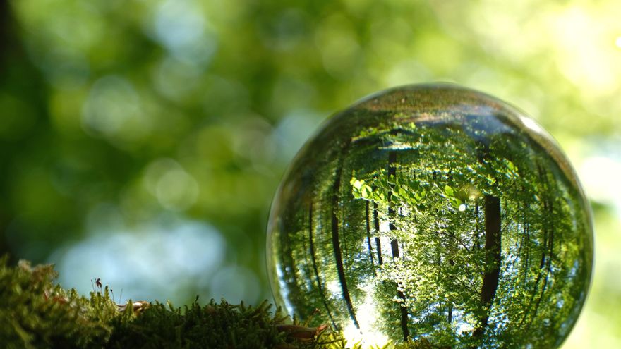 Tecnología para impulsar la sostenibilidad medioambiental