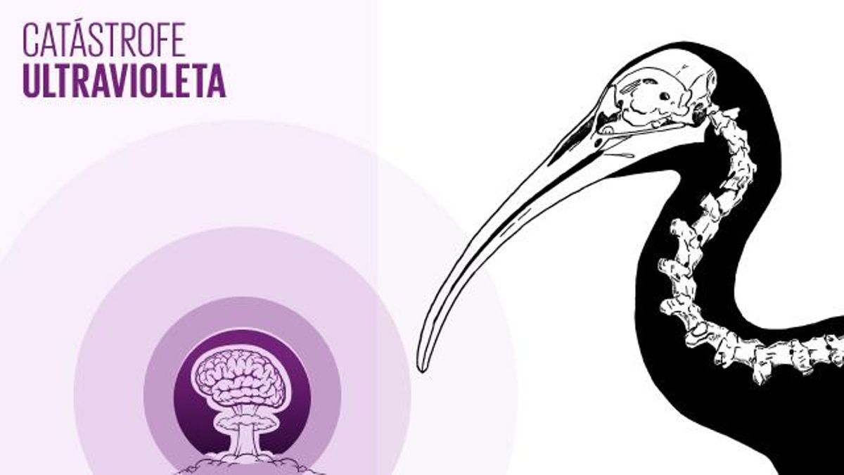 Asesinato de un ibis eremita: tras el cazador que acabó con el fabuloso viaje del ave 'Hel'  | 🎙 PODCAST