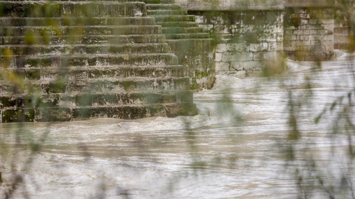 Crecida del río Guadalquivir a su paso por Córdoba