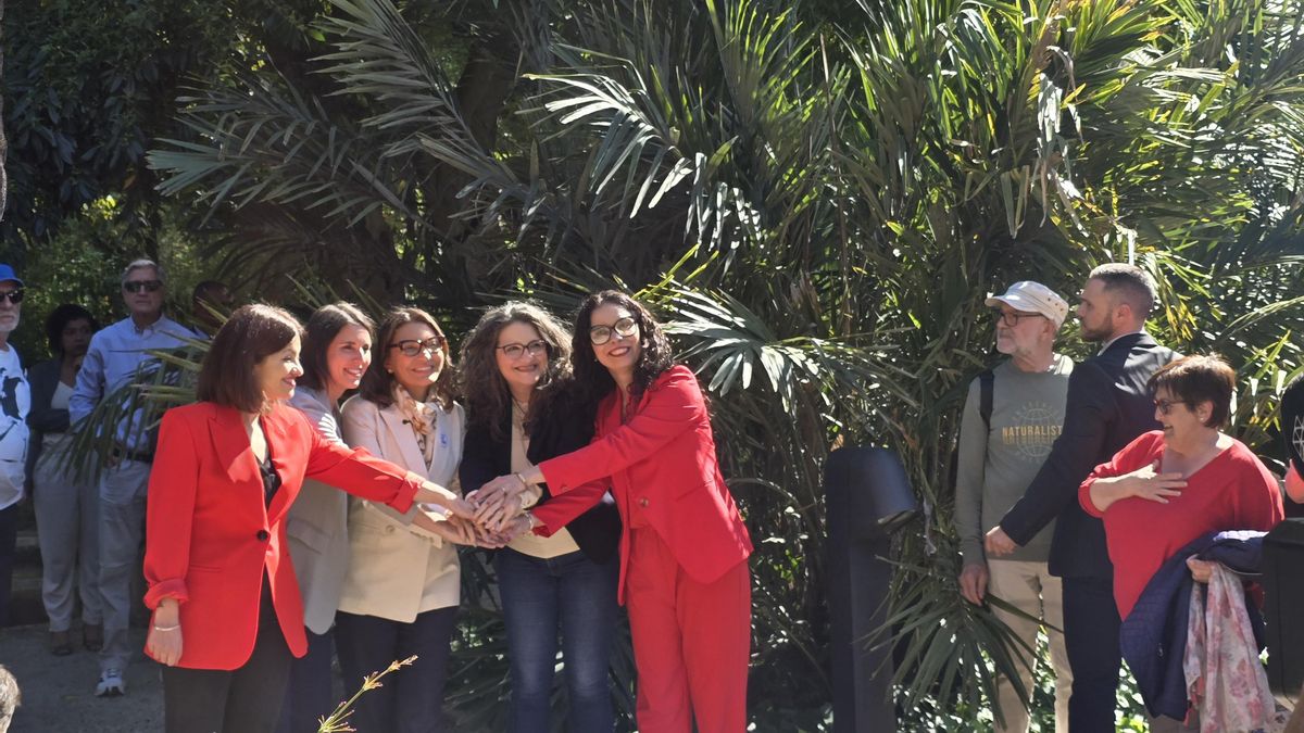 Las mujeres de la izquierda, contra el 'lawfare': "Es disciplina social contra las mujeres"