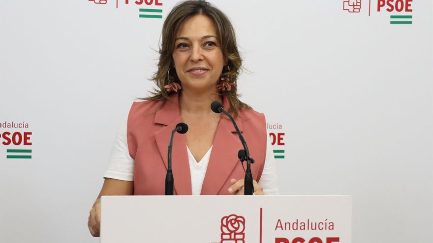 La parlamentaria del PSOE-A en el Parlamento de Andalucía, Isabel Ambrosio, en una imagen de archivo.
