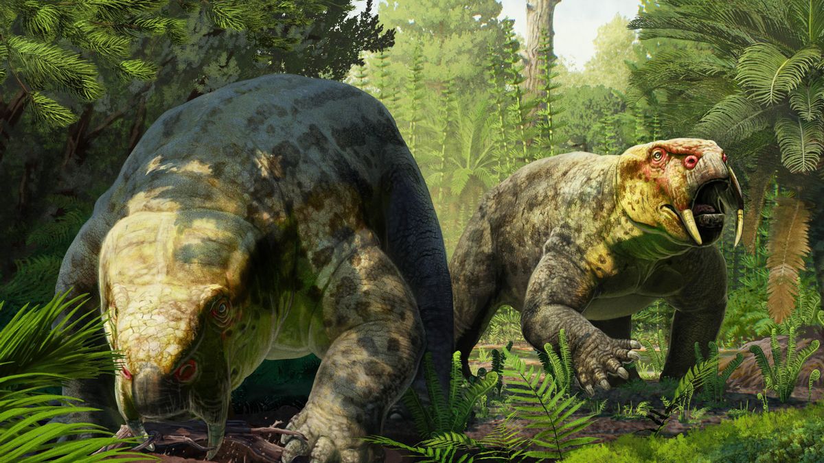 Un fósil de Tanzania guardado 60 años en Londres revela una nueva especie de hace 240 millones de años que retrasa el origen de los dinosaurios