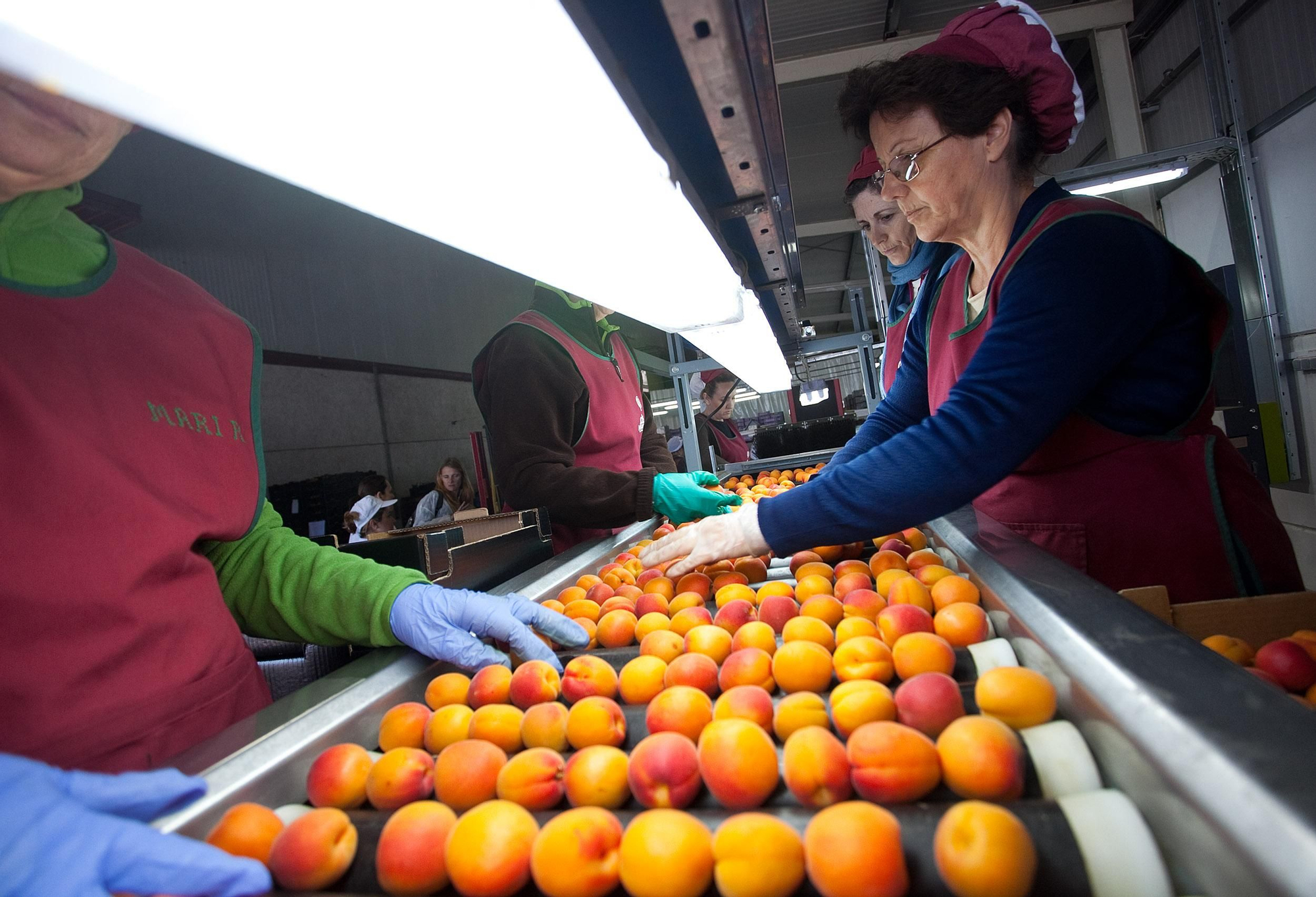 El programa prestará especial atención a las mujeres que vivan en el medio rural y a las víctimas de violencia machista