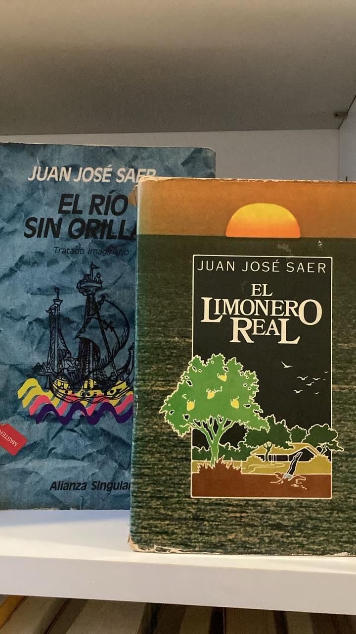 Entre los libros de la biblioteca de Beatriz Sarlo, se destacan varios ejemplares de la obra de Juan José Saer.