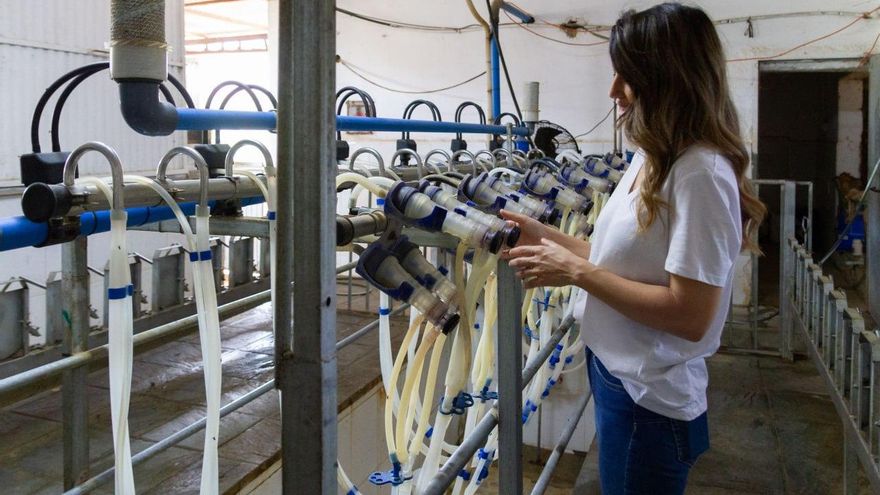 Sistema de ordeño automático de la granja de Encarni.