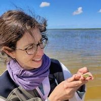 Rocío Fernández Zamudio