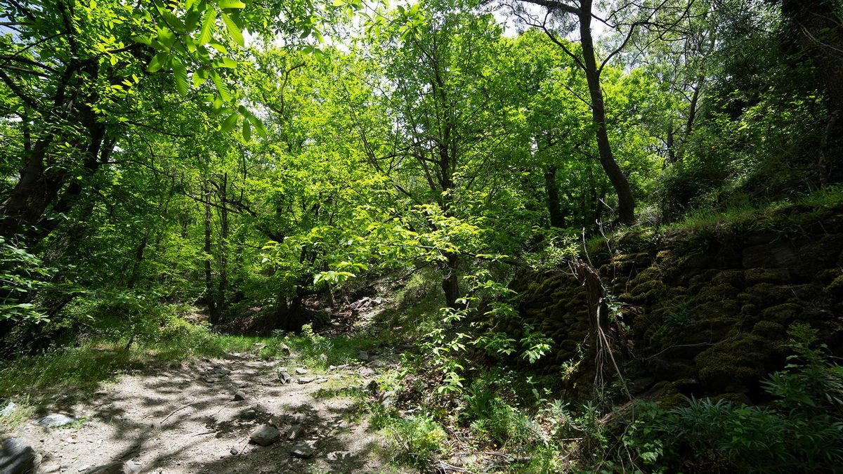 Sendero Pueblos del Poqueira, en Pampaneira