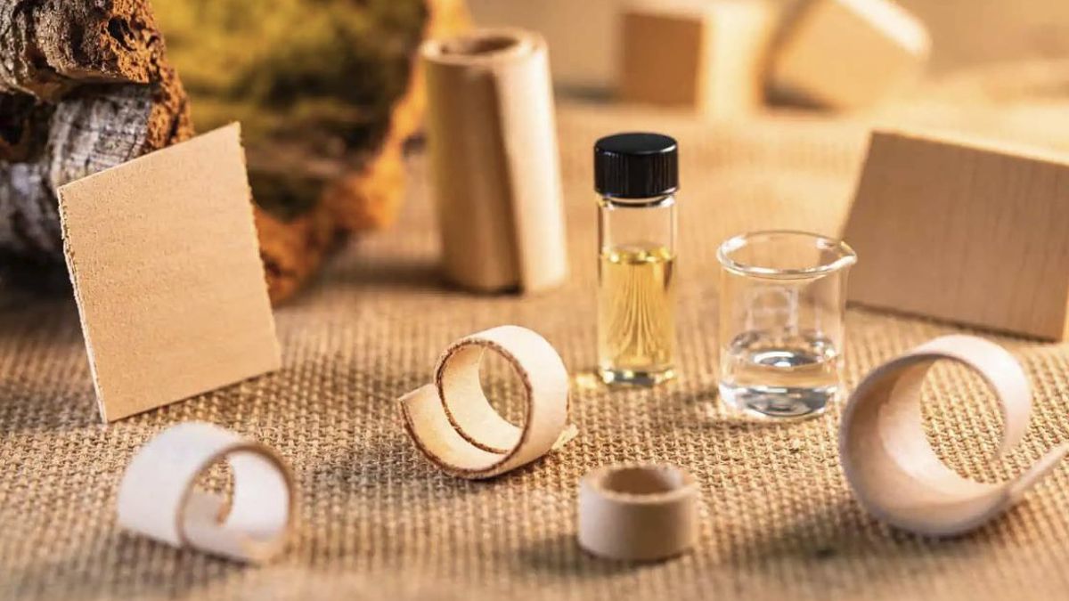 La madera puede adoptar formas antes difíciles de conseguir gracias a un tratamiento que reduce el coste ambiental del proceso
