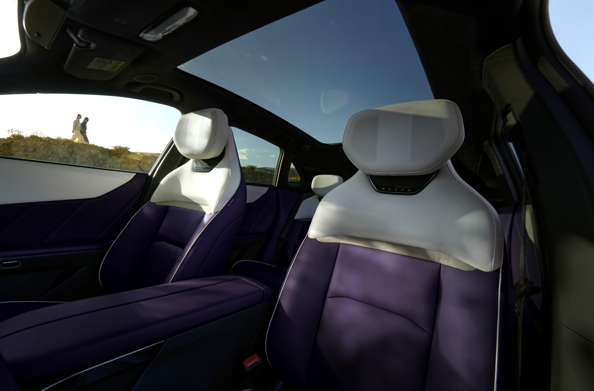 Detalles de los asientos traseros individuales.