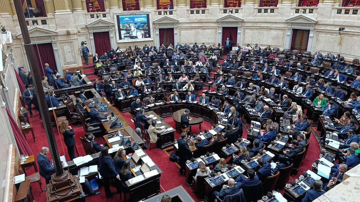 Organizaciones civiles aseguran que el Súper RIGI será "un cheque en blanco para las Big Tech"