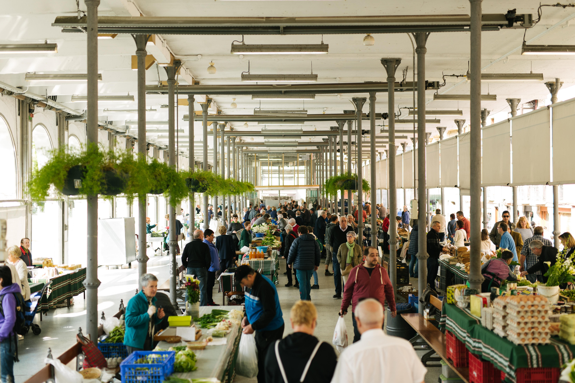 El mercado de Tolosa