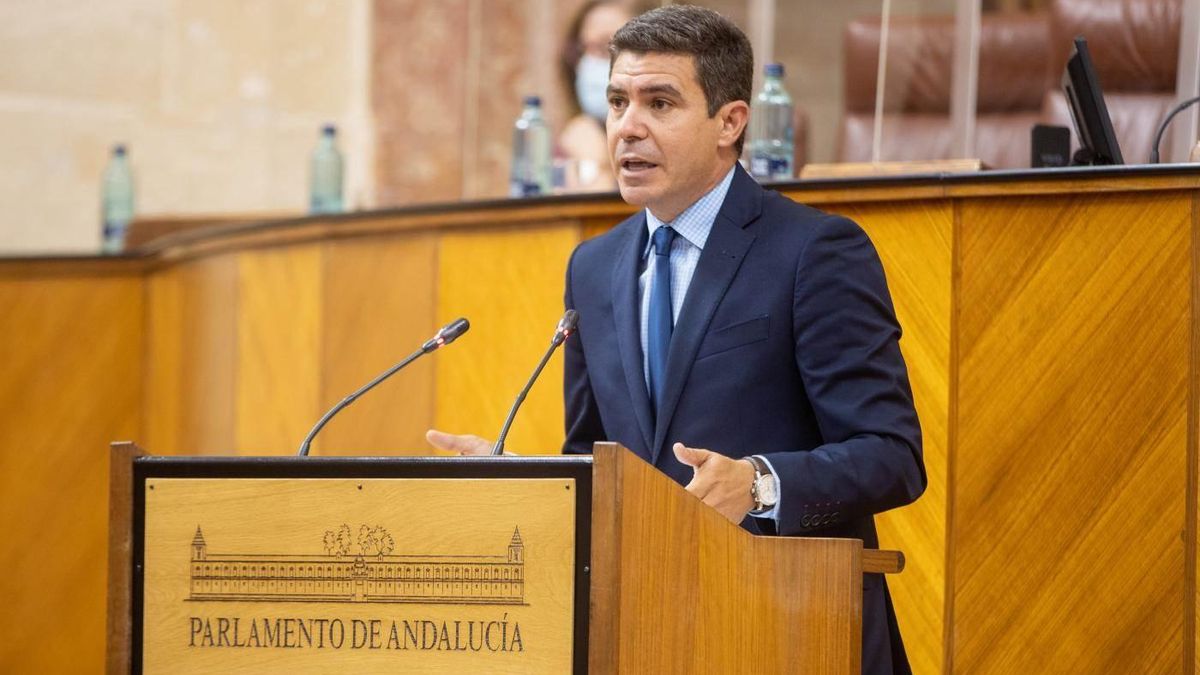 Sergio Romero, durante una intervención en el Parlamento andaluz.
