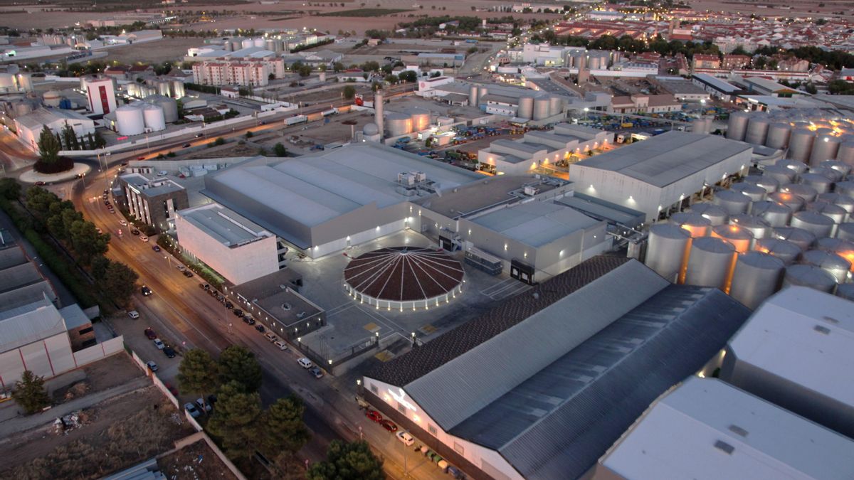 La bodega más grande de Europa empezó con 17 pequeños agricultores y ahora tiene su propio museo de arte