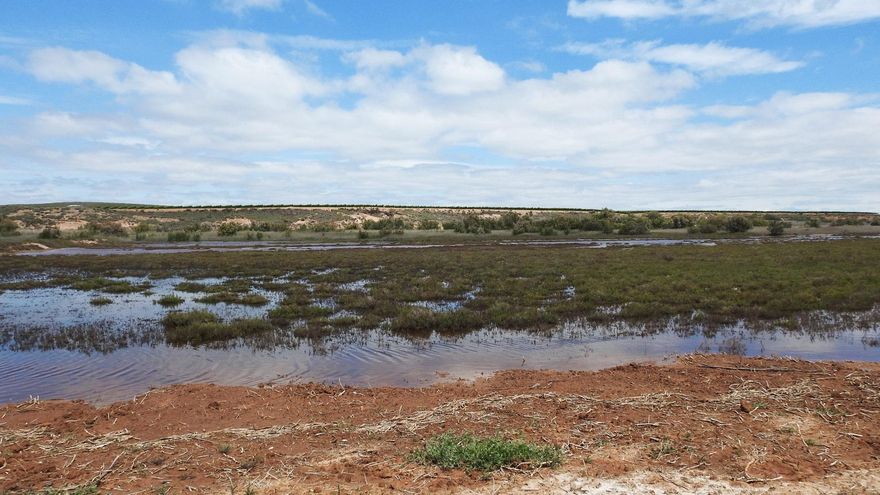 Proyectan un cebadero para 600 vacas junto a un humedal protegido de La Rioja