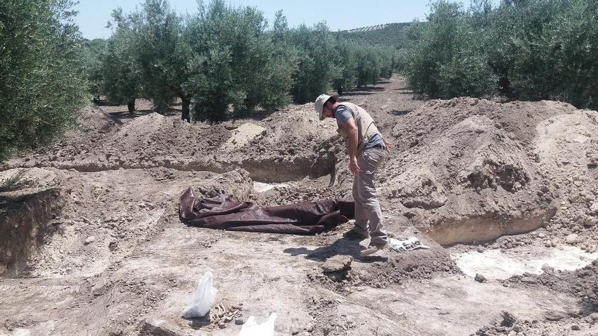 Los trabajos en una fosa de Castro del Río concluyen con 12 cuerpos exhumados