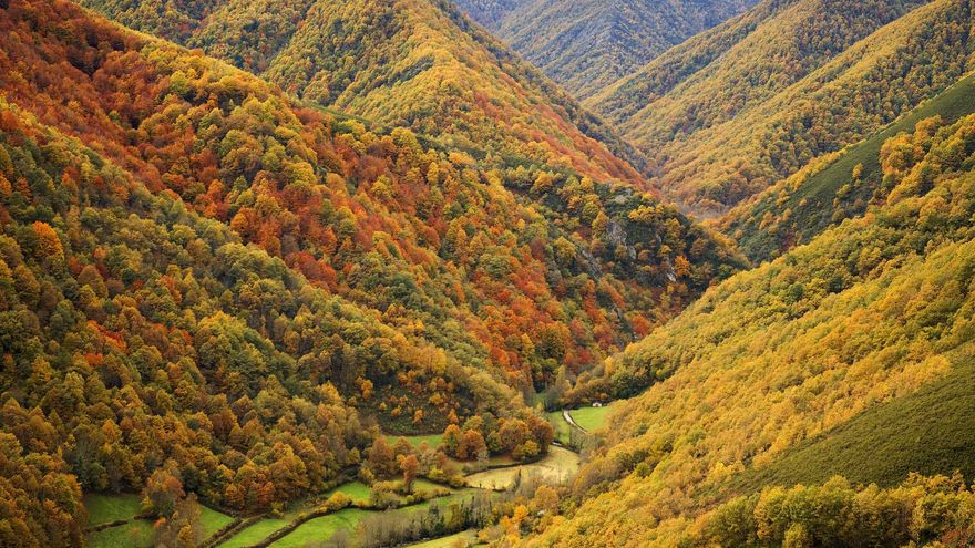 Siete bosques españoles para capturar un otoño lleno de color