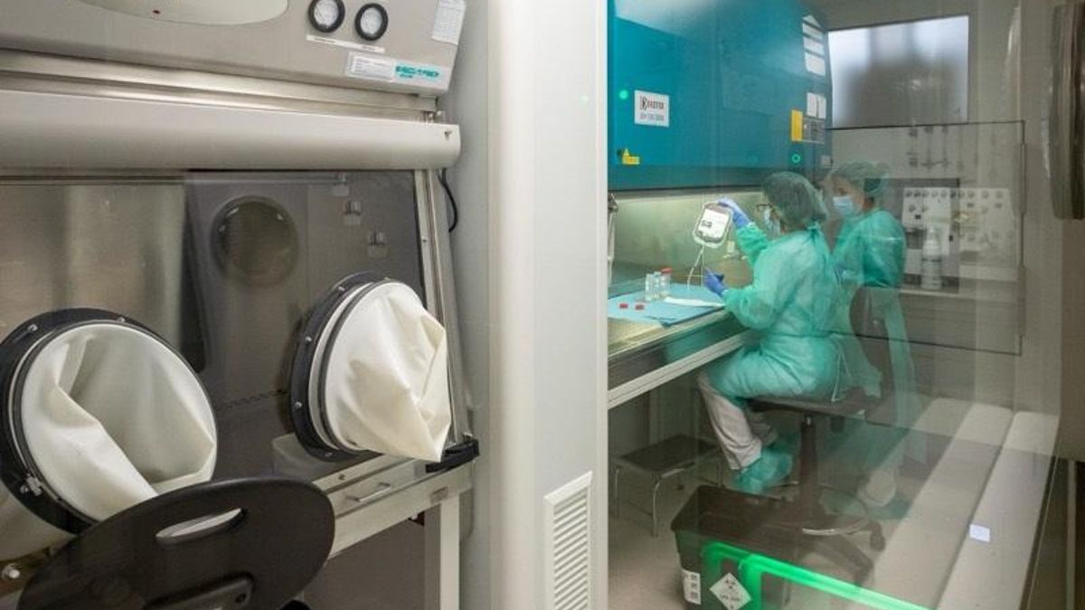 Más de 6.300 personas de Cantabria están inscritas como donantes de médula ósea en el registro mundial