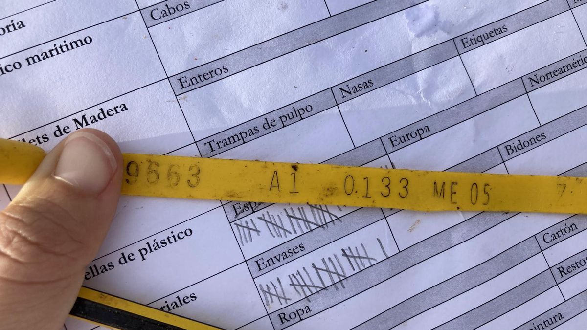 Imagen de una etiqueta de una nasa fondea en Maine (EEUU) en 2005 (código ME 05), recogida en Canarias.