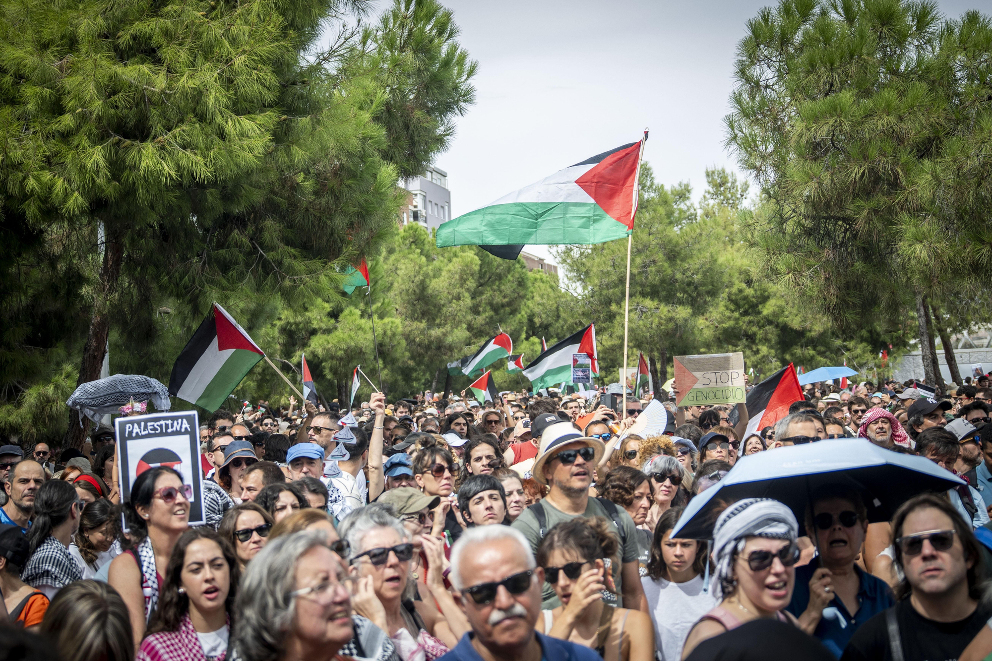 Cientos de personas llenan las orillas de Madrid Río en solidaridad con Gaza y para apoyar a la Global Sumud Flotilla