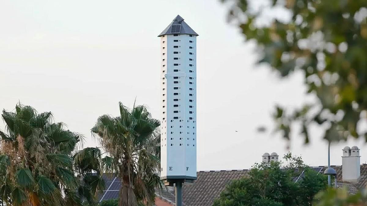 UPL propone instalar en León capital una Torre de la Biodiversidad "para frenar las plagas de insectos"
