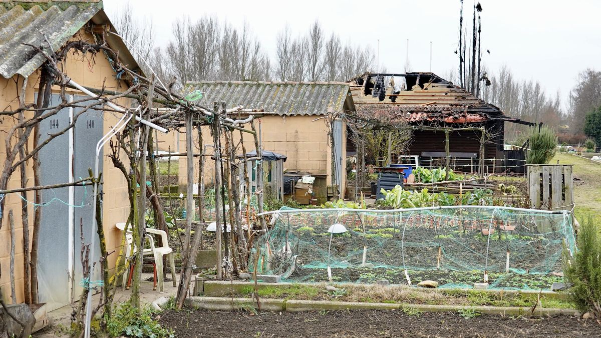 León construirá un edificio en los huertos de La Candamia por 285.000 euros para sustituir a otro incendiado
