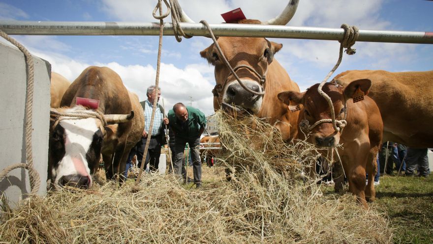 Agricultores y ganaderos en peligro de extinción