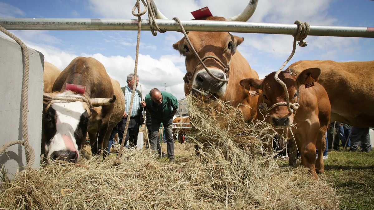 Agricultores y ganaderos en peligro de extinción