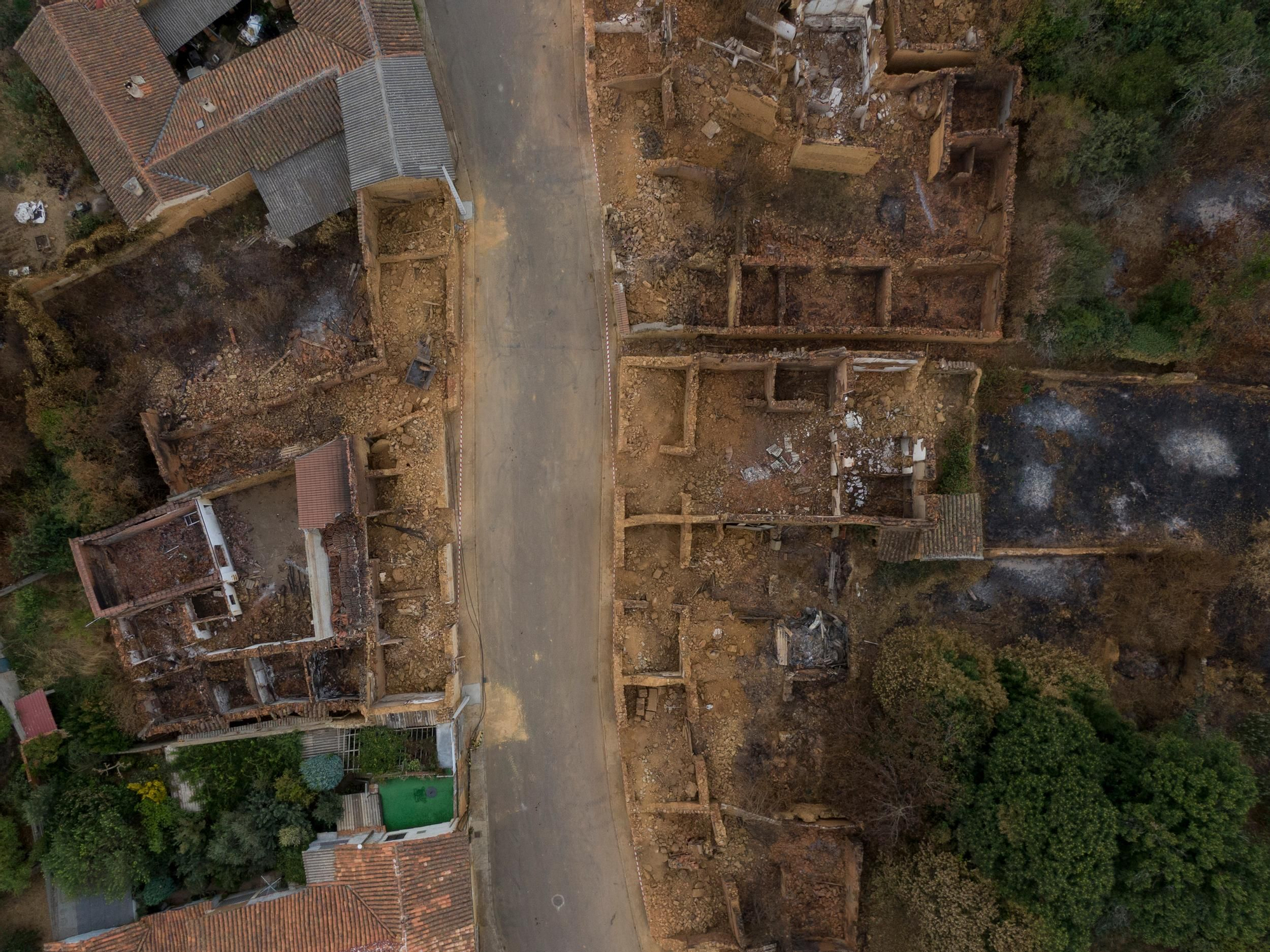 La devastación de los incendios del sur de León que impulsa la campaña internacional de Greenpeace