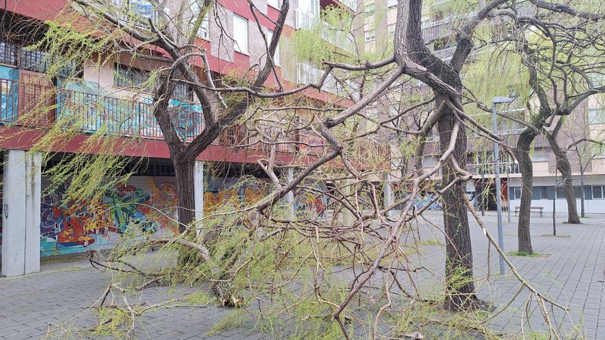 Vuelos cancelados y ramas caídas en Euskadi, que registra rachas de viento de hasta 133 km/h