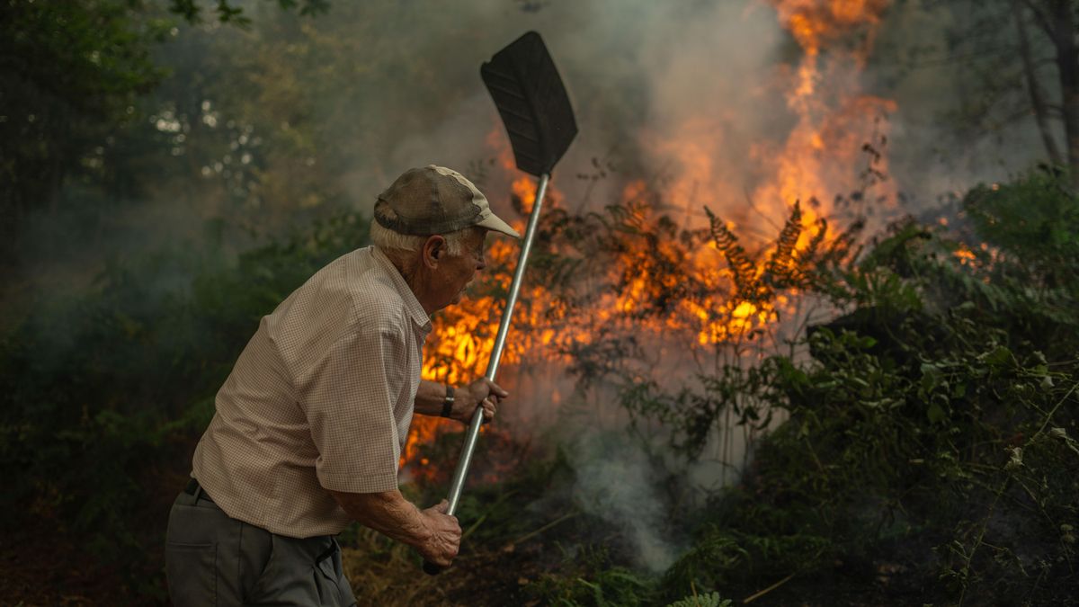 Un vecino de la aldea de Pareisás lucha contra en fuego en el incendio forestal que permanece activo en A Pobra de Trives (Ourense)