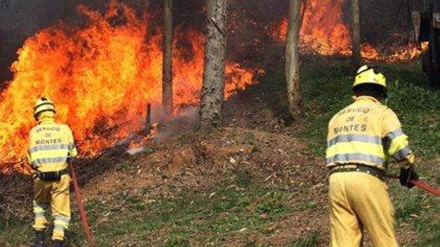 Operativo de lucha contra incendios forestales en Cantabria
